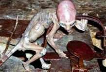 Британію відділяла від материка гігантська річка