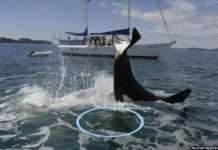 Нова горнятко для кави збереже тепло