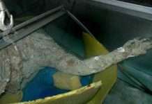 У Судані знайдені три древні статуї з написами