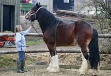 Вавілонську друк відшукали в Єгипті