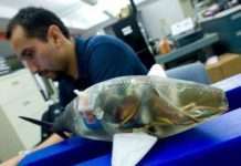 Вчені досягли рекордної швидкості по оптоволокну