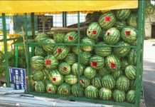 Торгова палатка з кавунами залишилася без нагляду (4 фото)