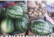 Підбірка прикольних фото №959 (105 фото)