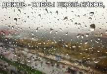 Картинки зі смішними підписами (27 фото)