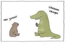 Трохи доброго гумору (15 фото)