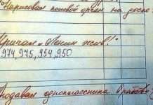 Сміховинні зауваження в шкільних щоденниках (21 фото)