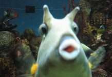 Прикольні фото (98 фото)