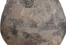 Археологи знайшли в Ізраїлі судини зі світом