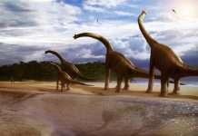 Динозаври були теплокровними?