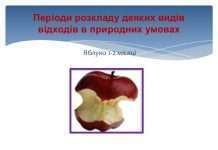 Мікроорганізми провели в солі 30 тис. років