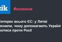 Новий мікроробот літає на магнітному полі