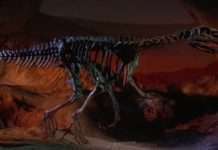 Новий вид хижих динозаврів виявлено в Аргентині