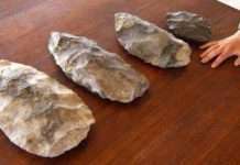 Стародавні сакси обезголовили вікінгів