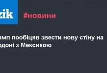 У Нью-Мексико виявлений новий вид тиранозаврів