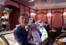 У США створили нанопортреты Барака Обами