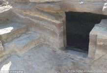 У Єгипті виявлено некрополь