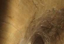 У Єгипті знайдено безліч стародавніх артефактів