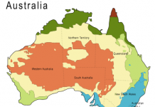 В Австралії відкрили 850 нових видів тварин