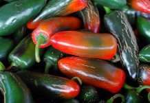 В Індії будуть застосовувати гранати з перцем