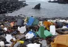 Вчені виявили звалище пластику на півночі Атлантики