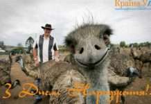 Прикольні поздоровлення коханці з днем народження