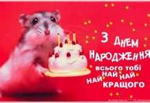 Прикольні поздоровлення однокласниці з днем народження