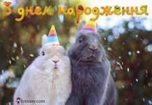 Прикольні привітання з днем народження