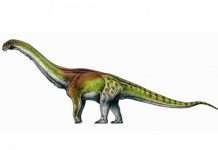 В Аргентині знайшли 20-метрового динозавра