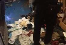 Астероїди ведуть себе як термінатори