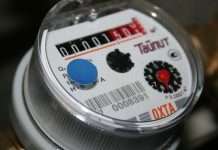 На Багамах знайдена велика колекція стародавніх тварин і рослин