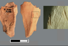 Найдавніші людські сліди