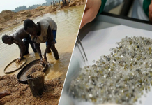 Єгиптяни страждали атеросклерозом