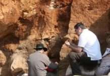 Вчені розповіли про давню принцесу жившу 2000 років тому