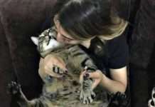 Відрубав Ілля Муромець Змію-Горинича одну голову — а на її місці десять нових виросло…