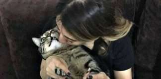 Відрубав Ілля Муромець Змію-Горинича одну голову — а на її місці десять нових виросло…