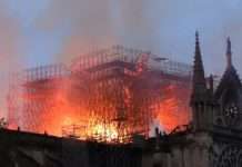 Париж став на коліна: Непотрібних пожежників люди вирішили замінити молитвою про Нотр-Дам-де-Парі