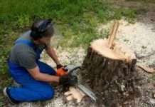 Як видалити пень дерева!!!!