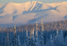 Смерть біля перевалу