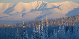 Смерть біля перевалу