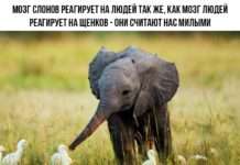 Підбірка прикольних написів до картинок зі змістом