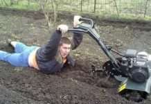 20 по-справжньому вдалих кадрів. В місті такого веселощів не побачите