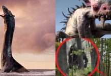 Що говорить наука про єті, чупакабрах і інших загадкових істотах