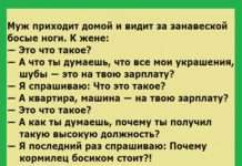 Кращі анекдоти для вашого настрою