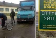 Несподівані особливості сільського життя, на які без посмішки не поглянеш