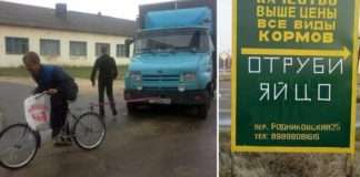 Несподівані особливості сільського життя, на які без посмішки не поглянеш