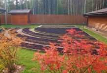 Весняна підготовка грядок для високої врожайності