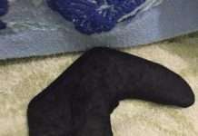 Та що це за чортівня? Хто знає відповідь?