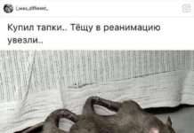 Дай, друже, на щастя лапу мені!