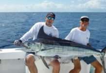 Як легко ловити рибу для початківців?