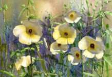 Shin Jong Sik «живі акварелі»